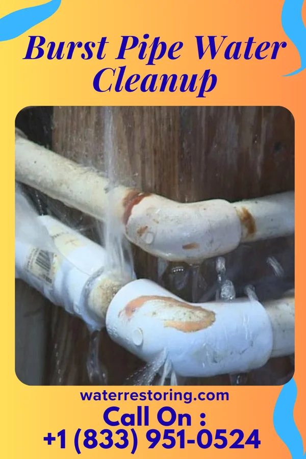 Burst Pipe Water Cleanup in Madison Park, NJ