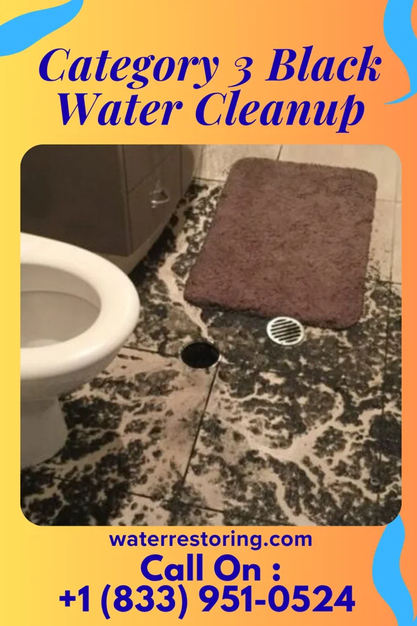 Category 3 Black Water Cleanup in Madison Park, NJ