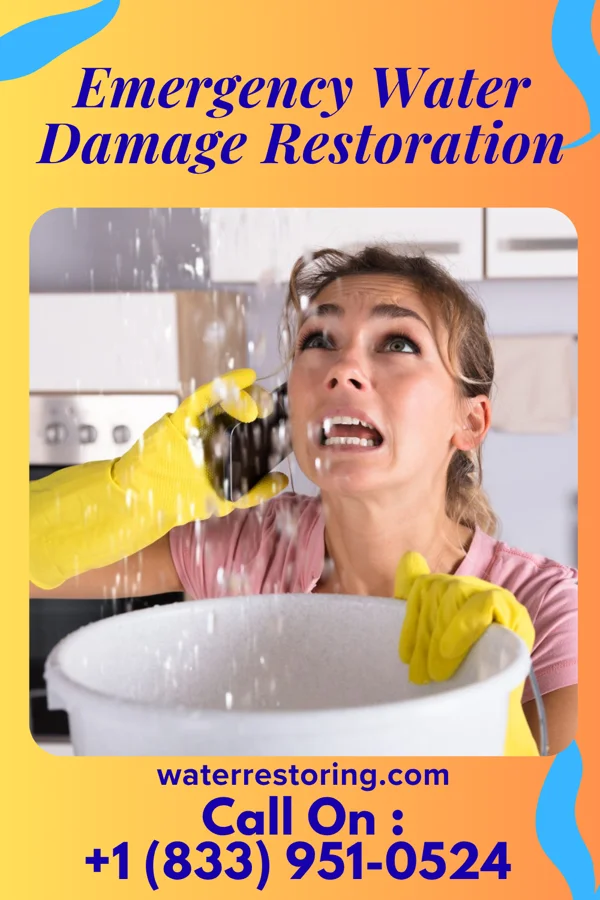 Emergency Water Damage Restoration in Madison Park, NJ