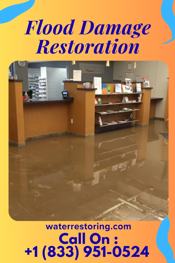 Flood Damage Restoration in Madison Park, NJ