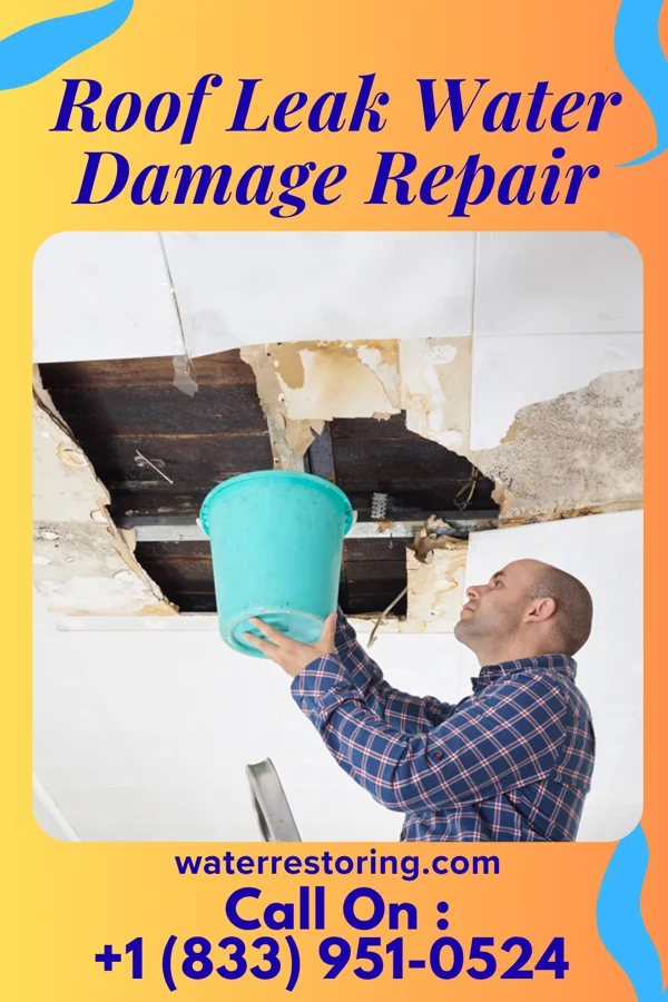 Roof Leak Water Damage Repair in Madison Park, NJ