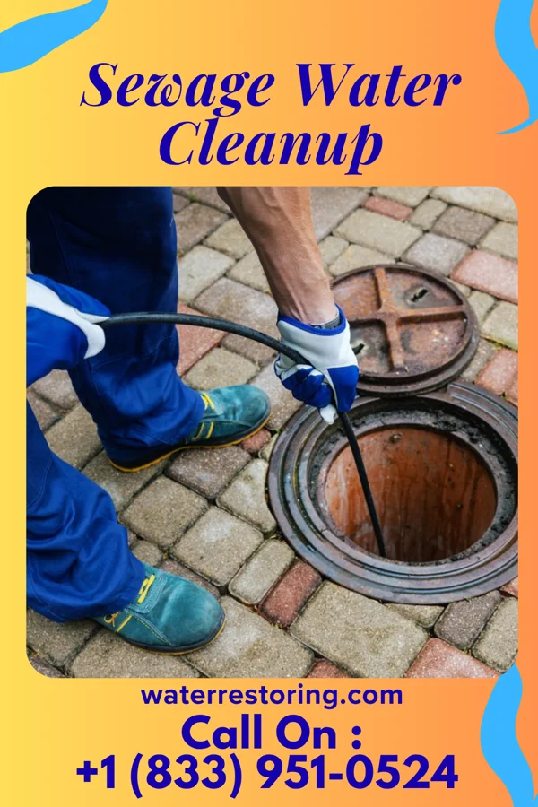 Sewage Water Cleanup in Madison Park, NJ