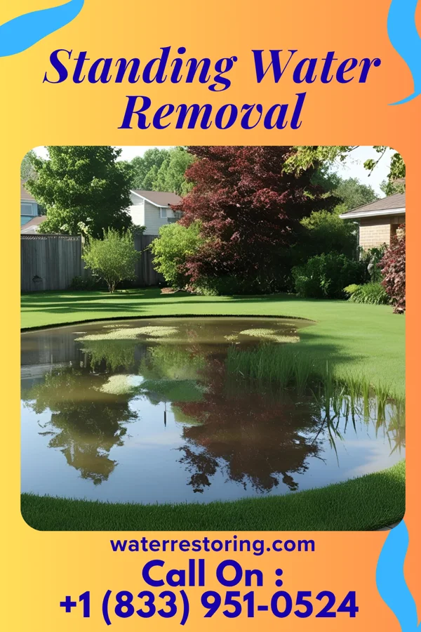 Standing Water Removal in Madison Park, NJ